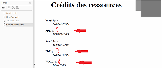 bug_credits_pdf_et_autres