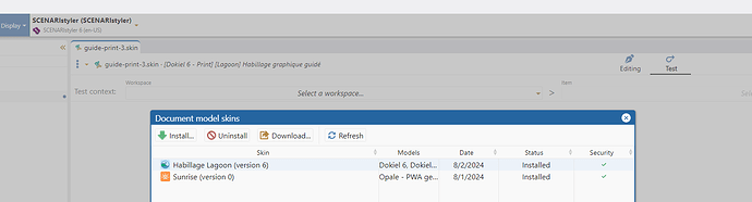 Workspace1-modelskin
