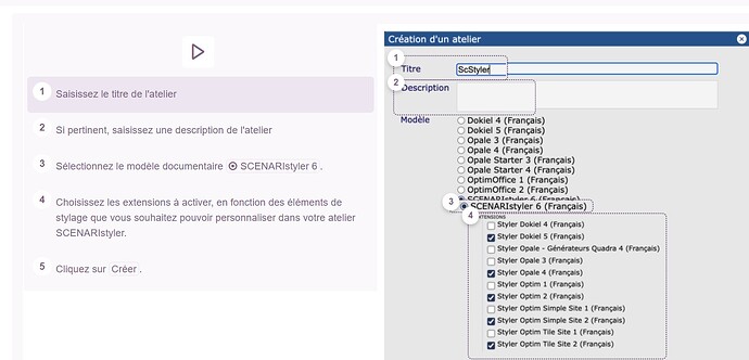 Option de stylage introuvable, manque certaine extension