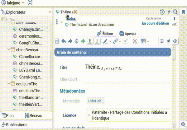 capture écran de la réplication d'un onglet