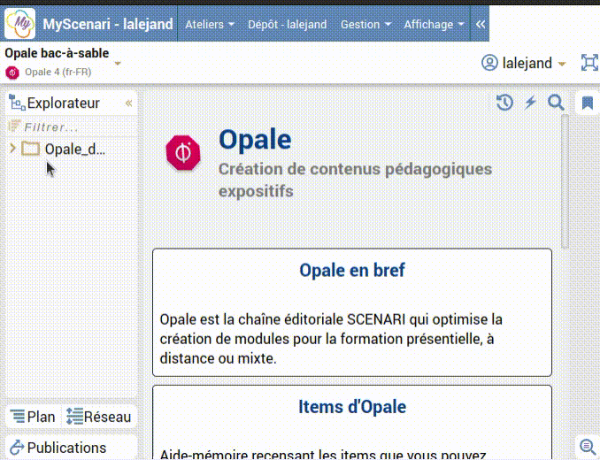 capture écran de l'exclusion d'éléments