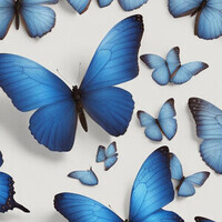 papillons