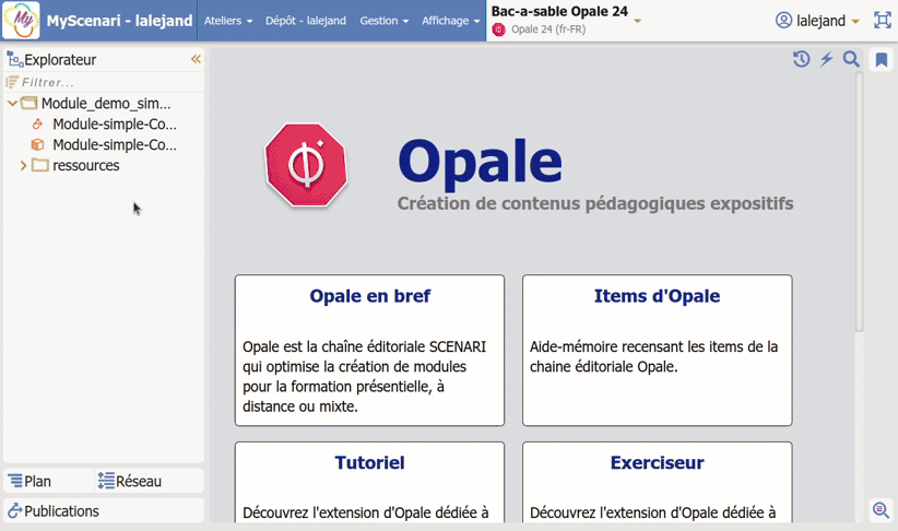 options d'accessibilite sur les génrateurs Web et Diapo Opale