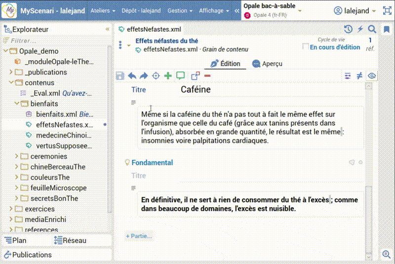 capture écran d'un copier-coller d'une image dans l'éditeur